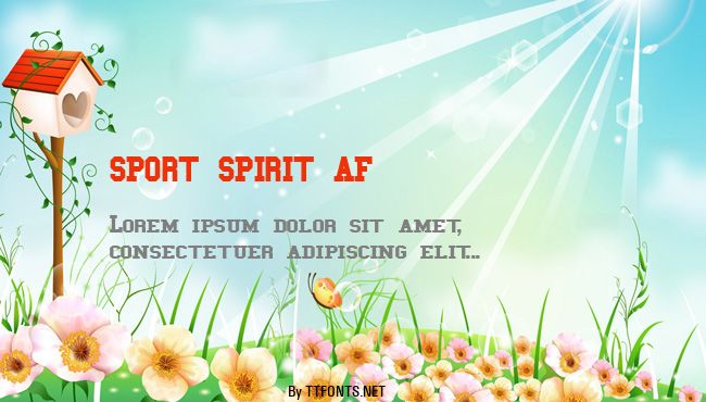 SPORT SPIRIT AF example